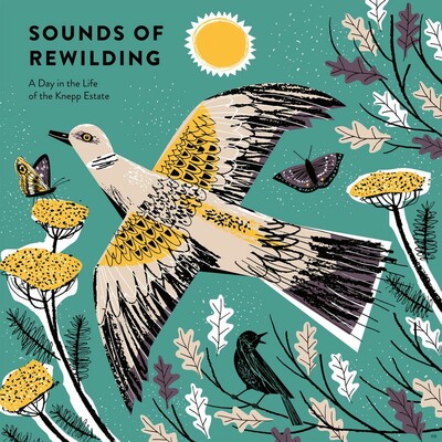 Release Cover Art: Sounds of Rewilding – A Day in the Life of the Knepp Estate