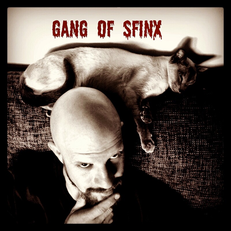 Download Before, During and Beyond the Knowledge of Death by Gang of ...