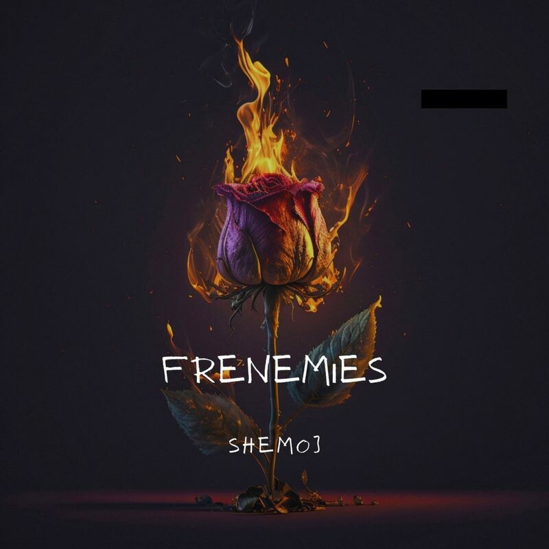 Download Frenemies by Shemoj | eMusic
