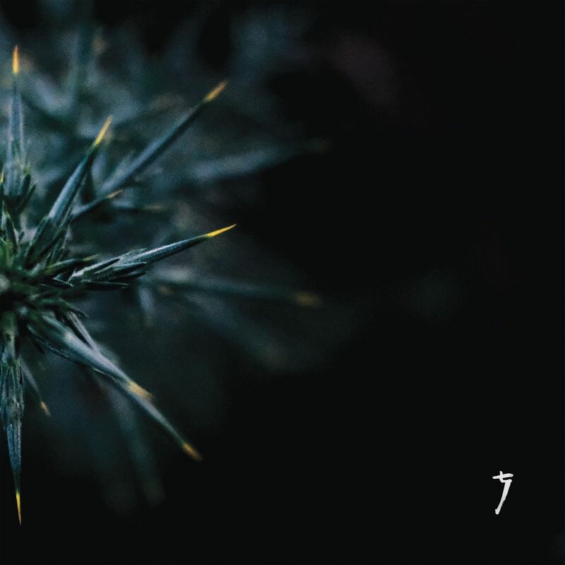 Download In Veil by Refracted | eMusic