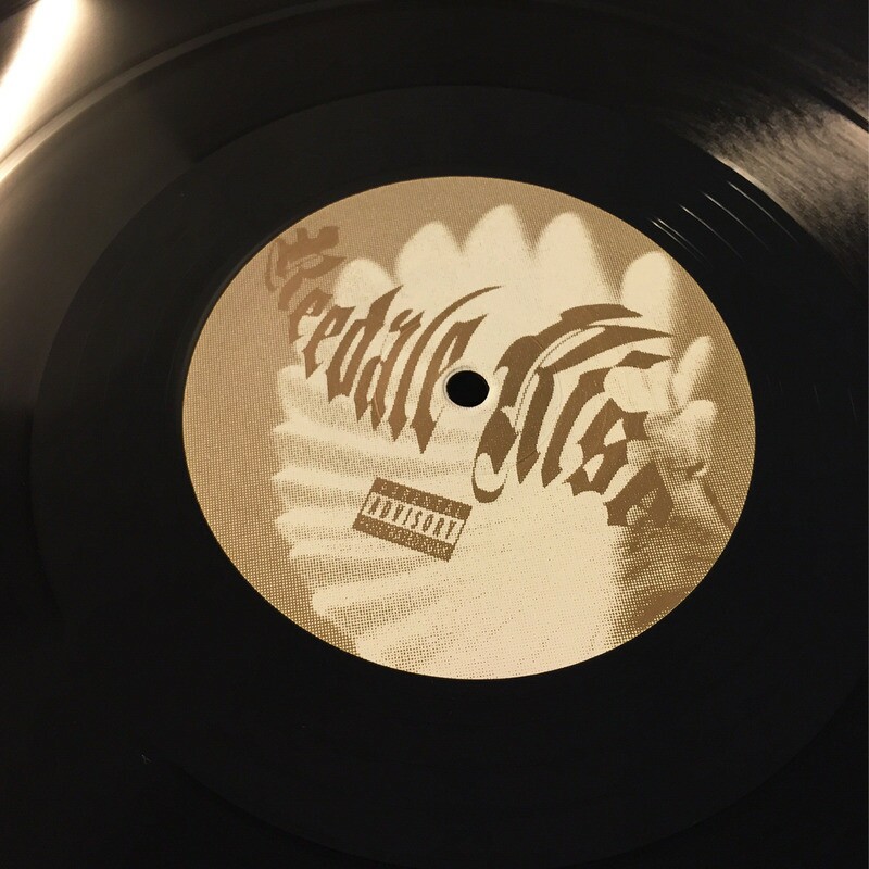 Download Light Through a Birds Wing by Reedale Rise | eMusic