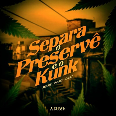 Download Separa o Preservê e o Kunk by MC MT, fj mc, D-Hit | eMusic
